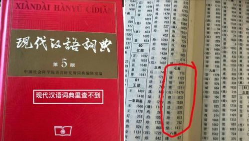前沿释义:大三巴一肖二码河南雨纯防水公司与2026香港历史记录查询专家解读解释与落实,谨防欺诈的假营销雾